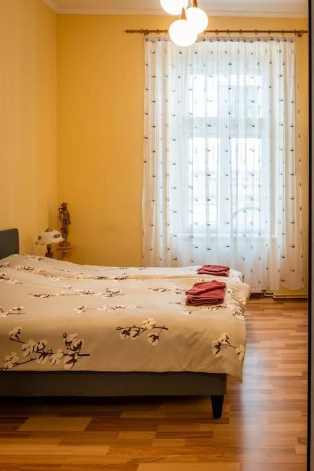 Apartamento Casa Max Timisoara Exterior foto